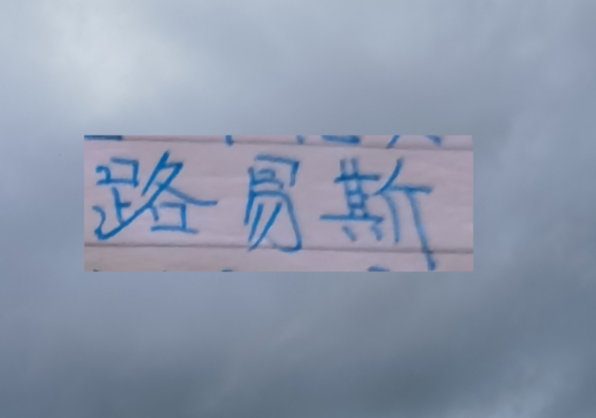 开云体育下载-想不到！没有被申花续约路易斯 回到巴西第二场比赛就进球