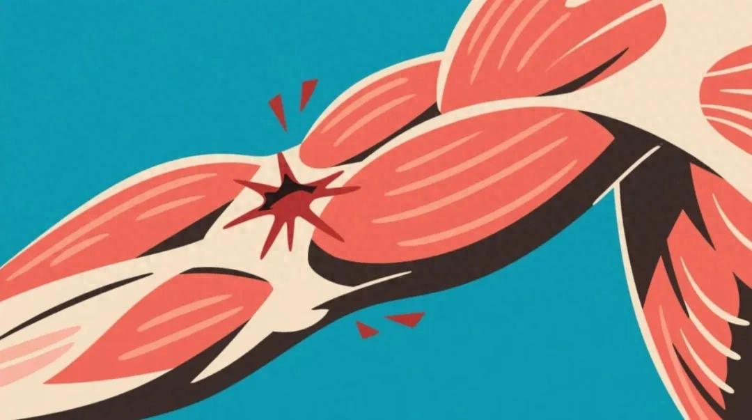 开云体育网址-警惕！小心这些药正在“溶解”你的肌肉